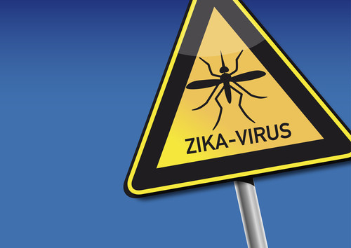 Zika femmes enceintes malformation