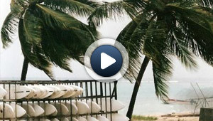 Au coeur d'une tempête tropicale