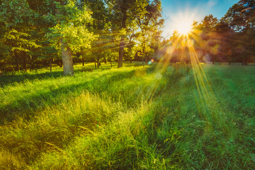 Roisey, le village le moins pollué de France (c) Shutterstock