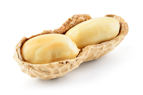 arachides-allergies-sante-traitement-alimentation-succes