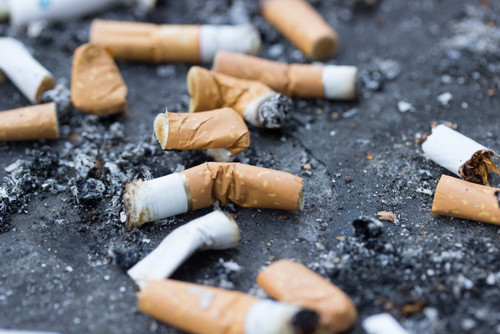 mégots de cigarettes