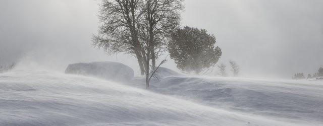 Février débute dans le froid
et la neige !