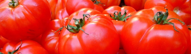 Des tomates