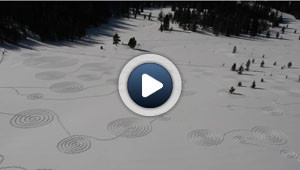 Les cercles dans la neige
