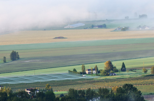 petit village