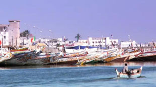 A la découverte du Sénégal