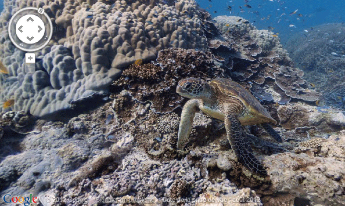 Explorez les fonds marins