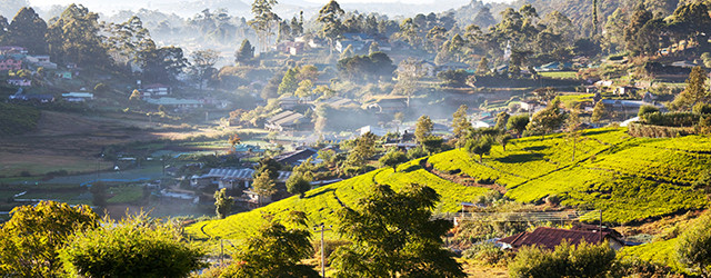 Partez à la découverte du meilleur du Sri Lanka
