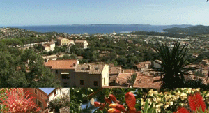 Le village de Bormes les Mimosas 