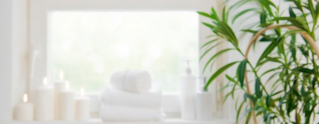 plante salle de bain