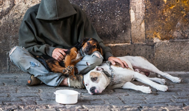 Une nouvelle application pour aider les SDF (c) Shutterstock