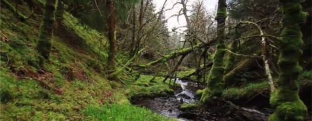 Ecosse