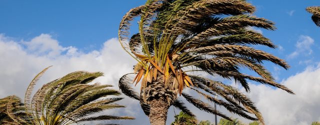 Retour sur les vents violents de ce week-end dans le Sud-Est.