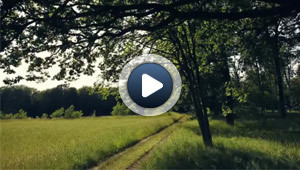 Moment d'évasion en forêt