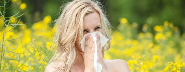 allergie