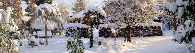 jardin hiver