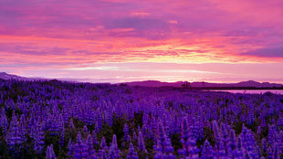 Minuit en Islande