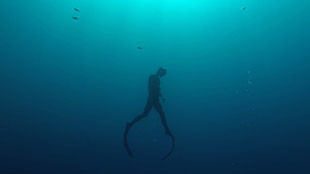 Comme un poisson dans l'eau