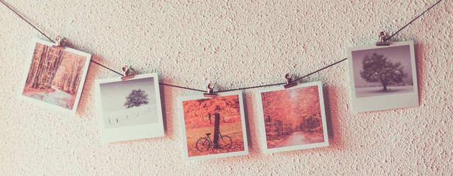 photos polaroid