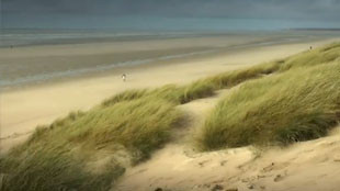 Une tranquille balade sur les plages du Touquet