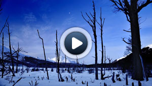 La beauté de la patagonie