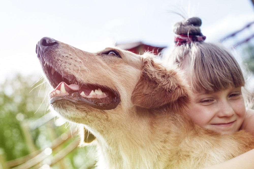 Les bébés nés dans une maison où habite un chien reçoivent une protection contre l'eczéma.