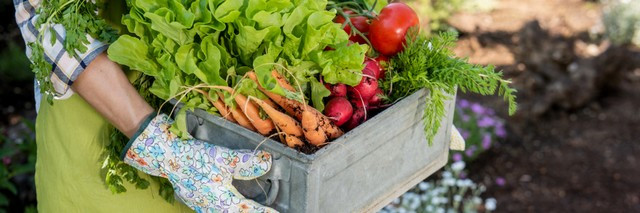 jardinage juin