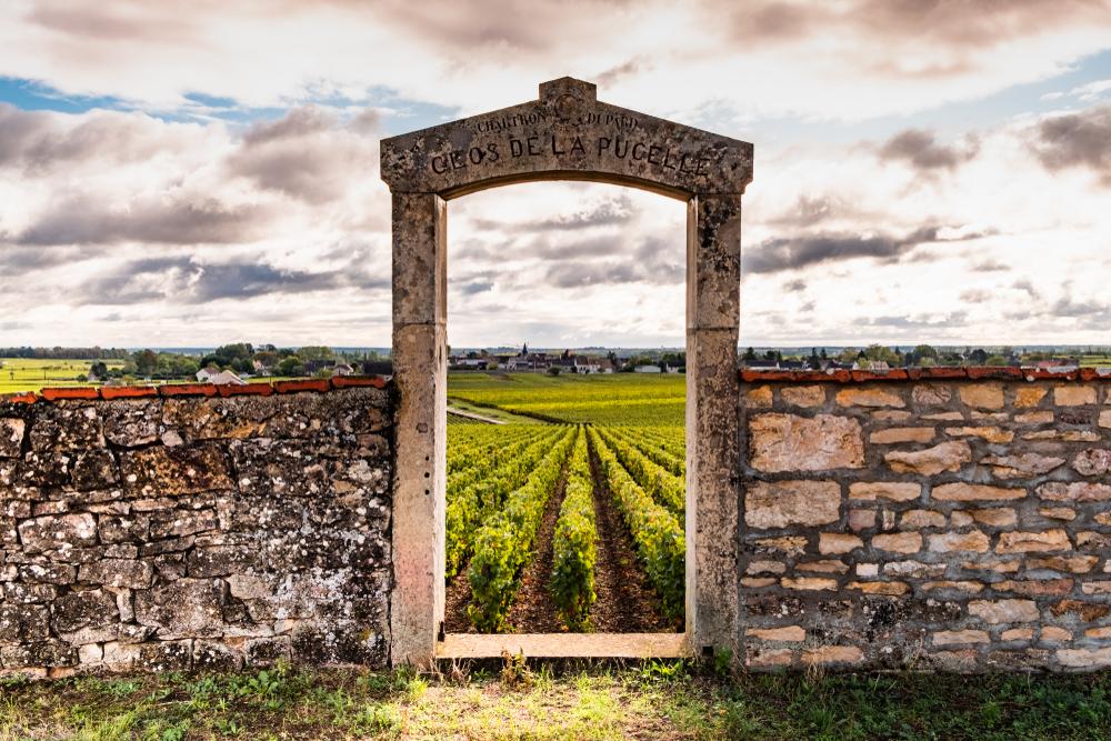 bourgogne vignes porte en pierre