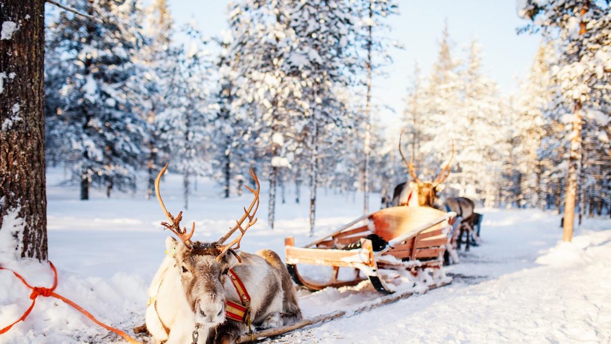 Organisez un Noël inoubliable : la Laponie sous toutes ses coutures 