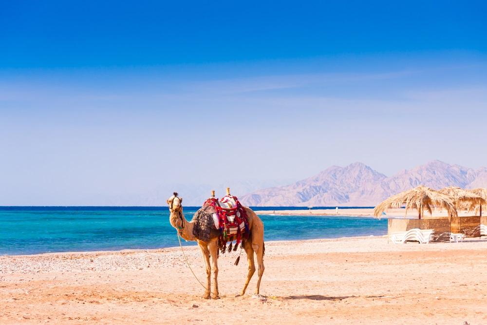 Dossier Egypte : les 6 plus beaux resorts de Marsa Alam à El Gouna
