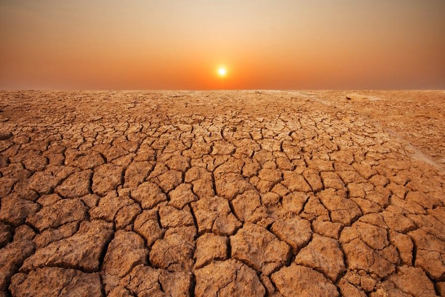 Une sècheresse record frappe la Corne de l’Afrique