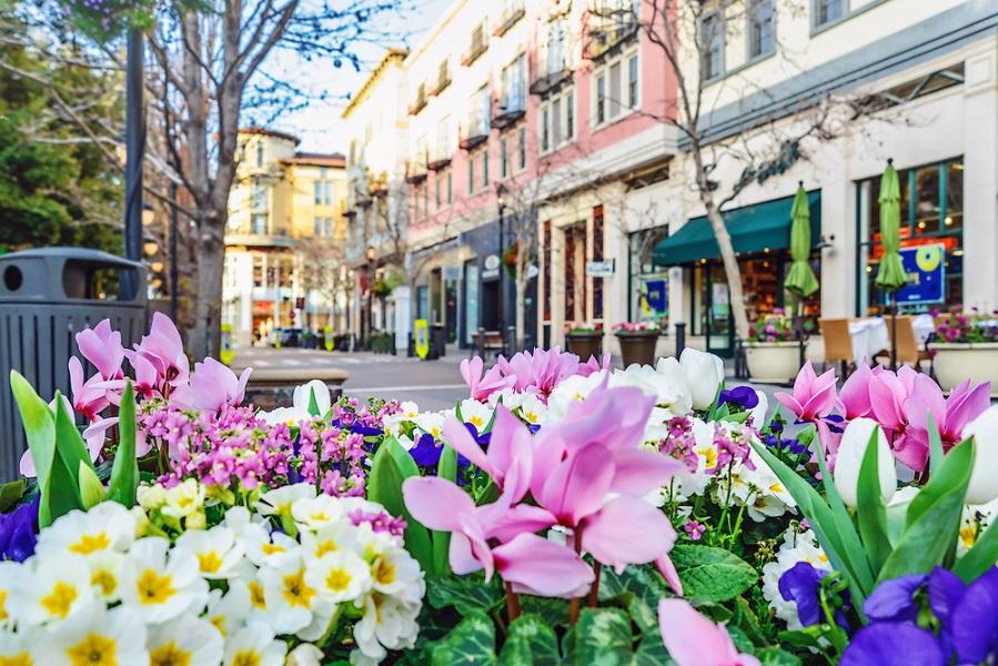 Gros plan sur les villes les plus fleuries de France à visiter au printemps