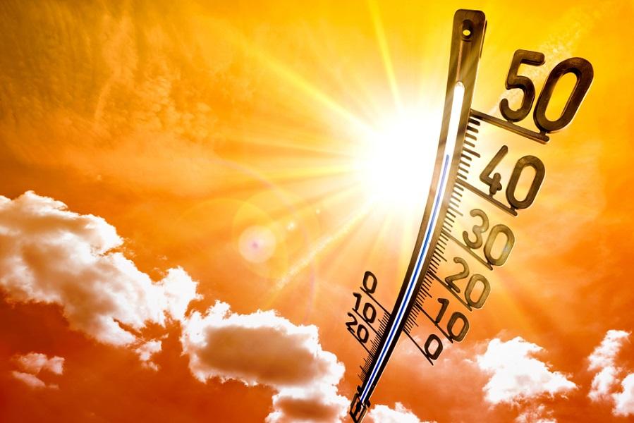 Canicule : la planète connait cette semaine une vague de chaleur record