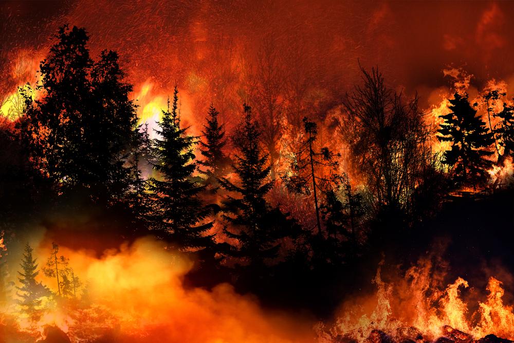 Incendies de forêt meurtriers au Chili : au moins 112 morts