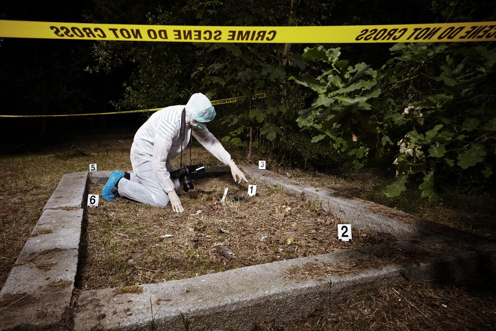 Le corps de la joggeuse a été retrouvé en lisière d'un bois.