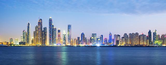 La ville de Dubaï, vue par un aigle !