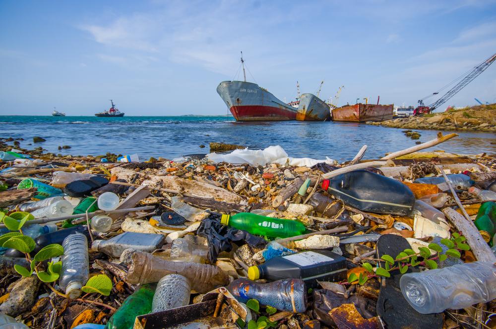 Le plastique est la première cause de pollution des océans. 