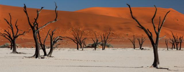 Sossusvlei, dans le désert Namibien