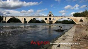 Avignon, la cité des papes