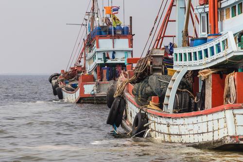 Global Fishing Watch permet de lutter contre la pêche illégale (c) Shutterstock