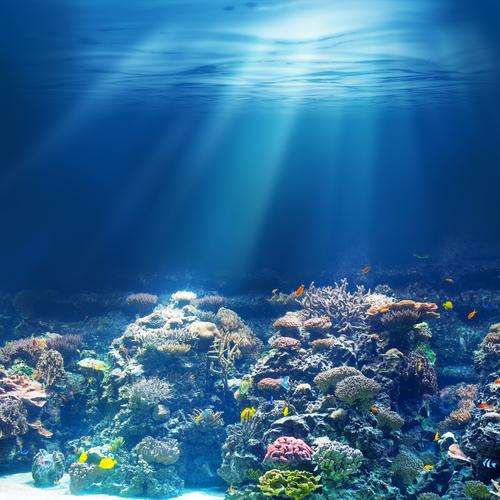 Des traces de pollution découvertes dans les abysses du Pacifique (c) Shutterstock