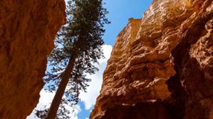 L'authentique Bryce Canyon !