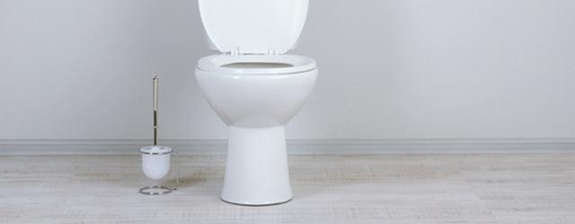 10 idées de déco pour vos toilettes