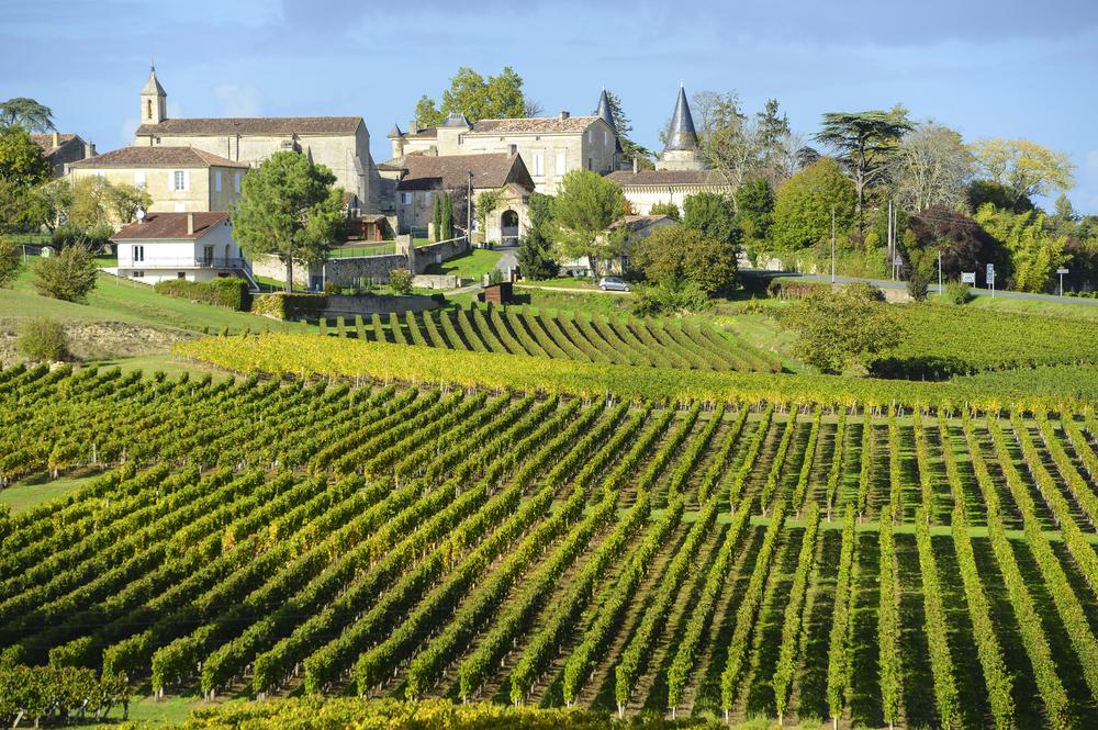 Les vins de bordeaux ne pourront bientôt plus être fabriqués dans leurs vignobles d'origine.