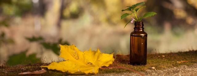 huiles essentielles automne