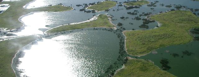 Découvrez Pantanal, lieu unique où la nature est reine ! 