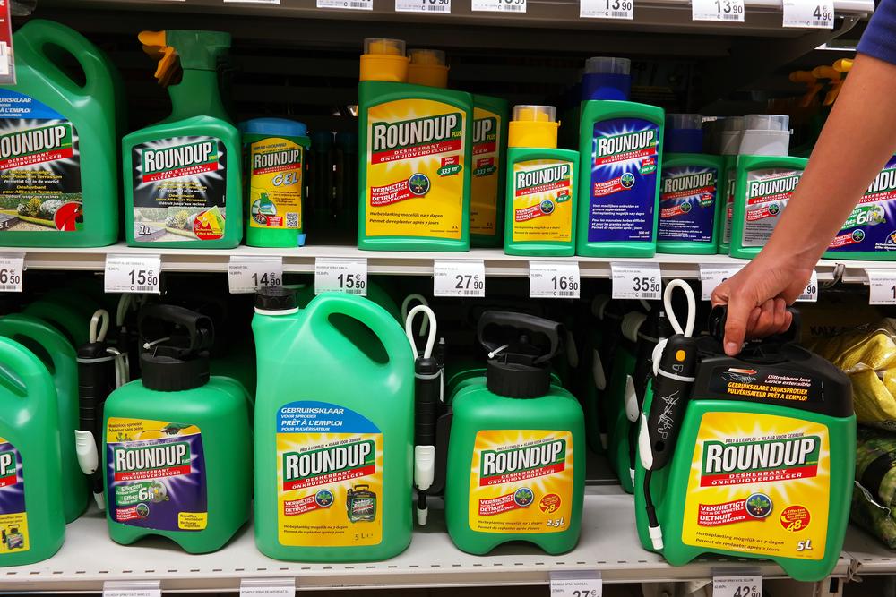 Le glyphosate, un produit que l'on trouve dans le Roundup de Monsanto.