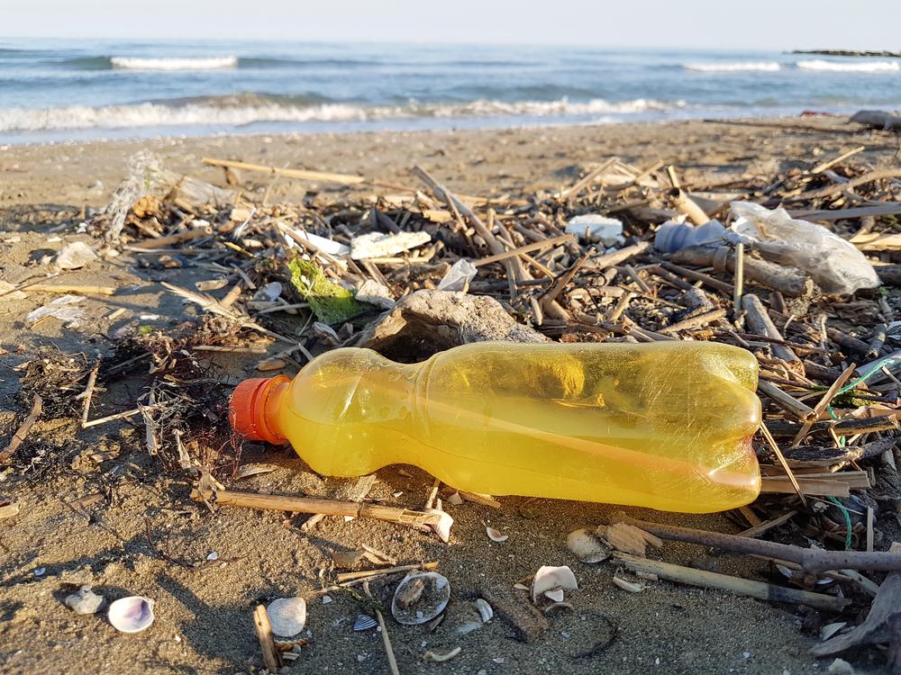 déchets plastiques océans