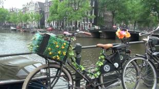 Les facettes d'Amsterdam