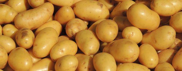 5 variétés de Pommes de terre à connaître
